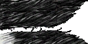 lk2 white tiger textures 2.png